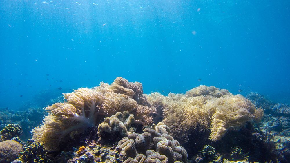 Janji Laut Resort Tanahwangko Buitenkant foto