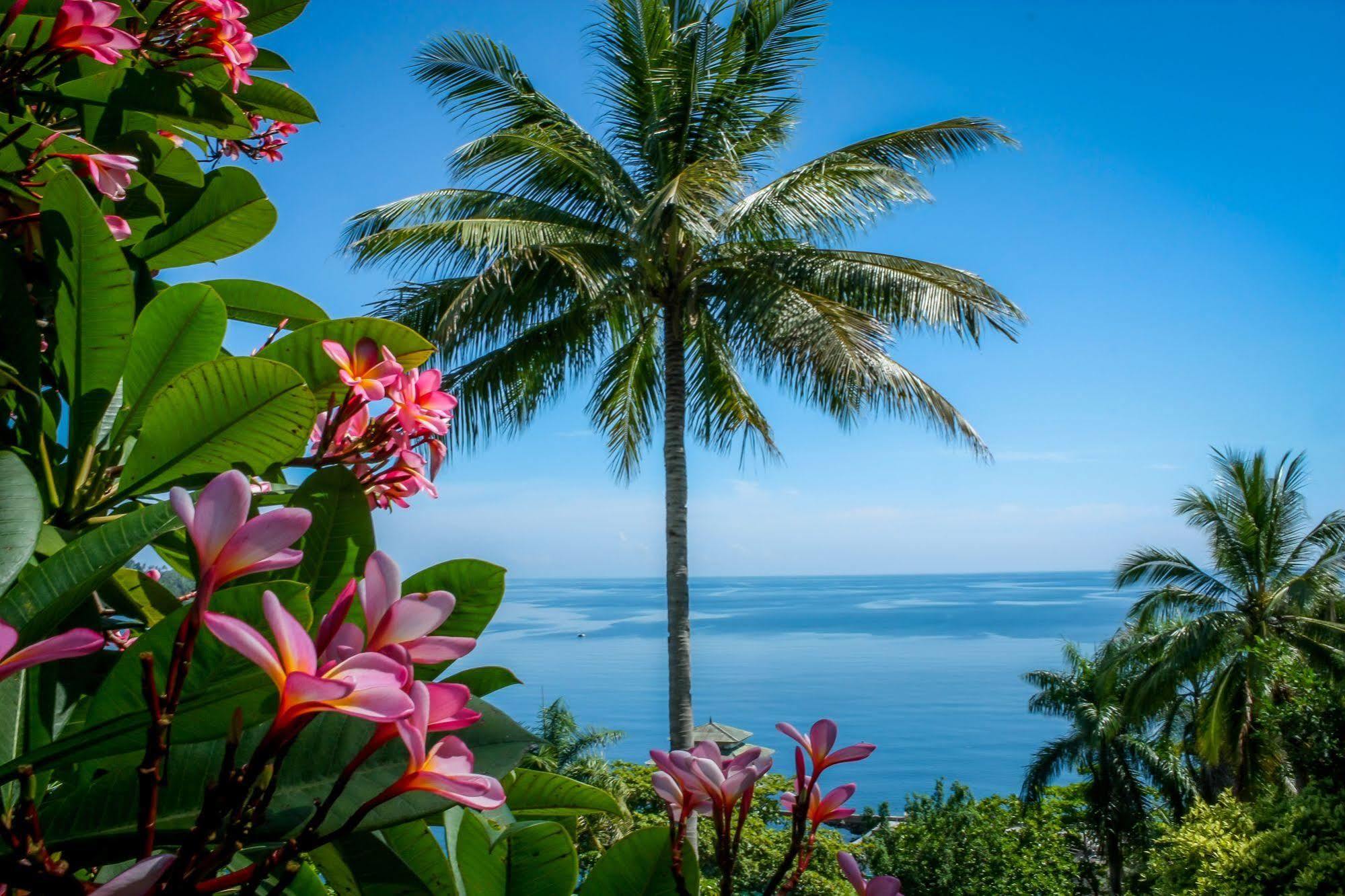 Janji Laut Resort Tanahwangko Buitenkant foto